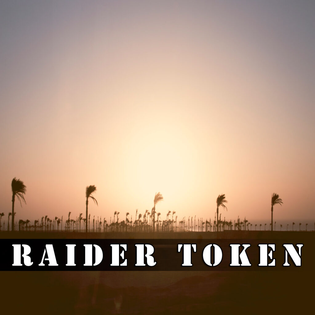 Raider Token: Unlock the Future of Decentralized Finance